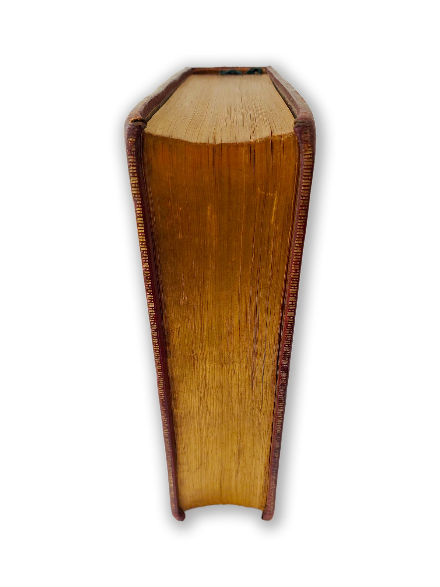 Pub. 1844 - Holy Bible - DOUAY Version of the Old & New Testament by Edward Dunigan, New York